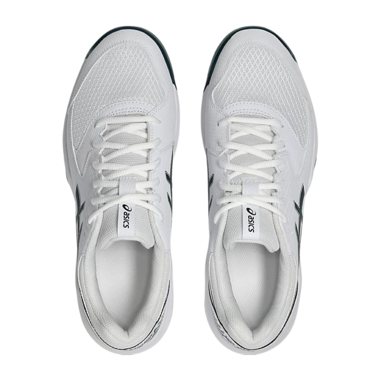 TENIS PADEL ASICS GEL-DEDICATE 8 MEN STANDARD HOMBRE