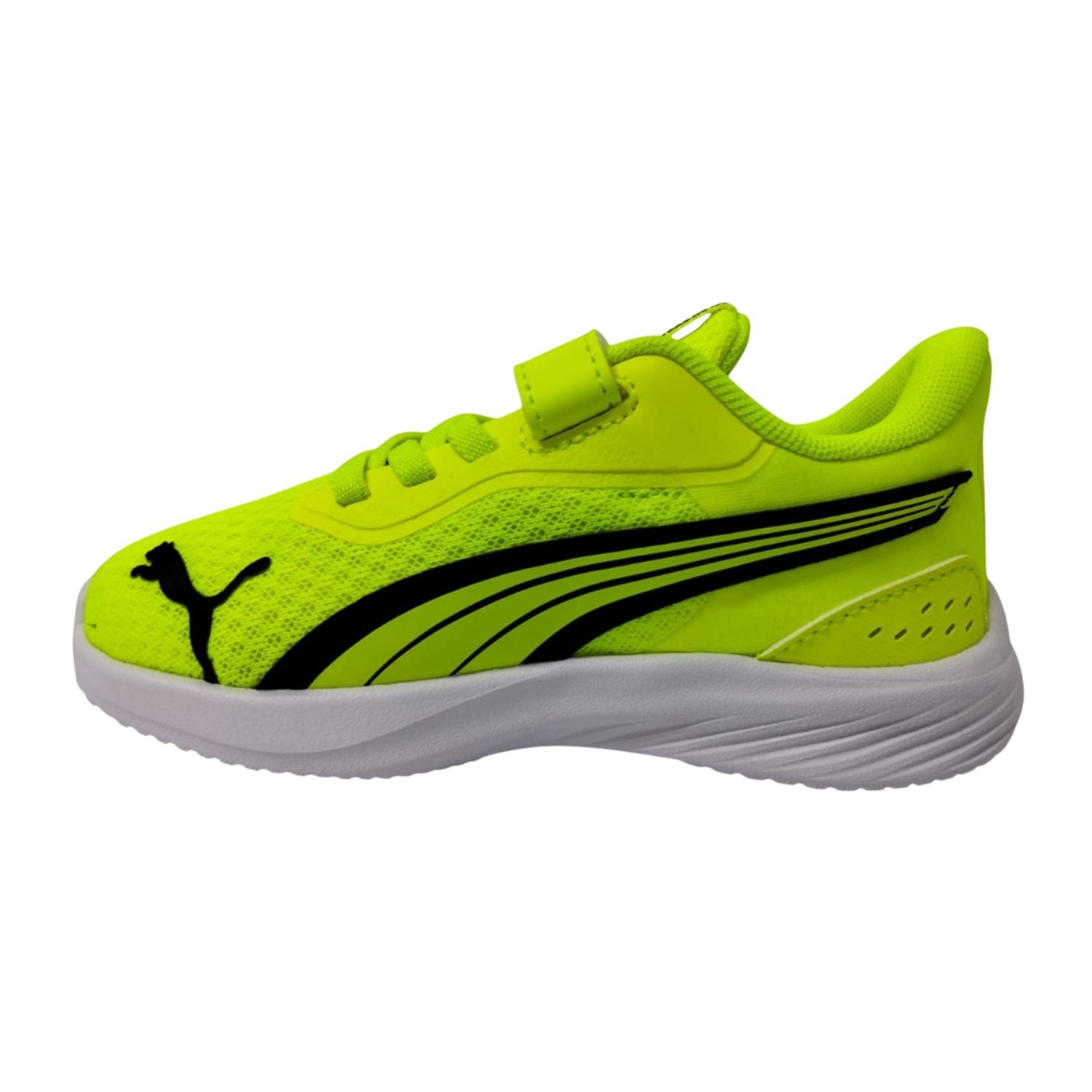 TENIS CASUAL PUMA POUNCE AC+ INF NIÑO